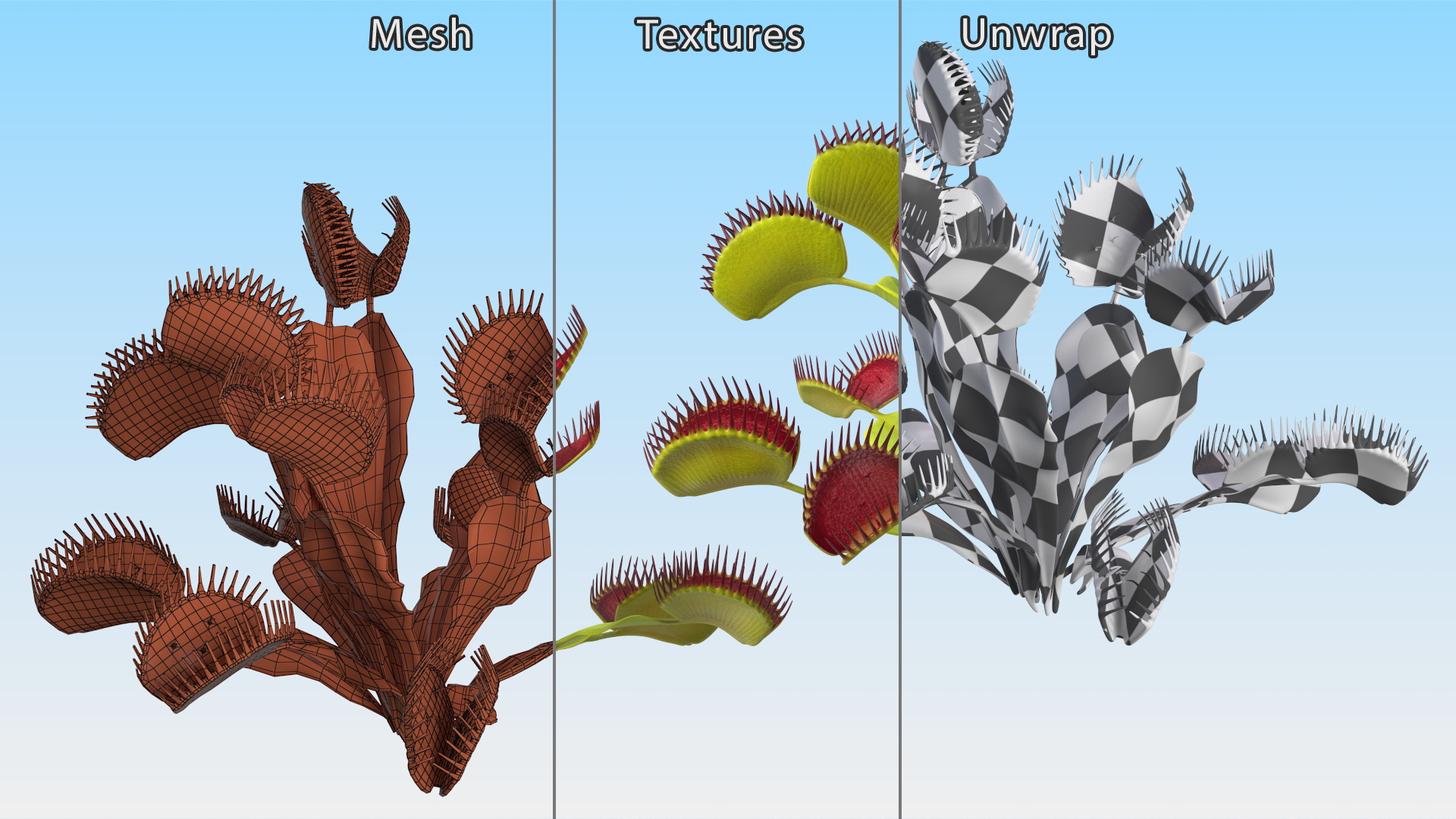 3D Venus Flytrap Phalanx