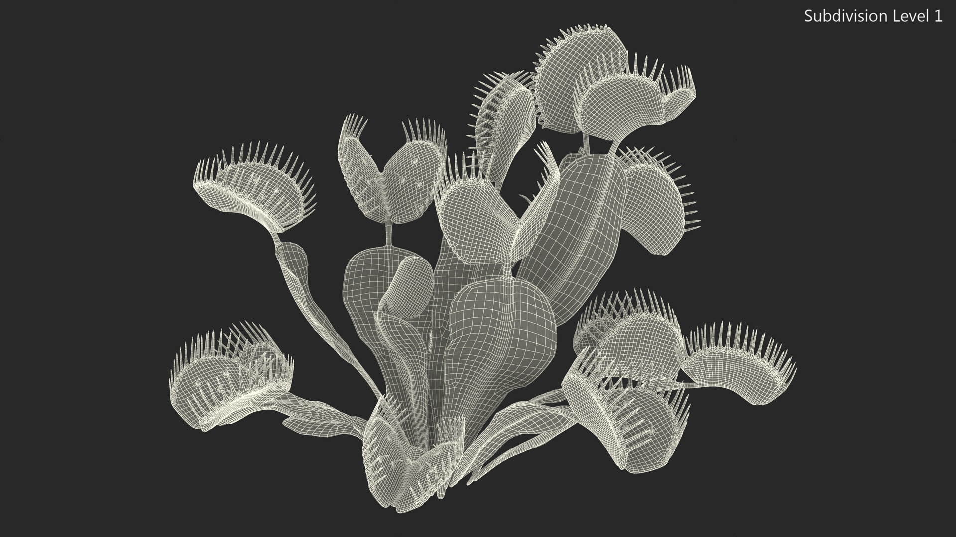 3D Venus Flytrap Phalanx