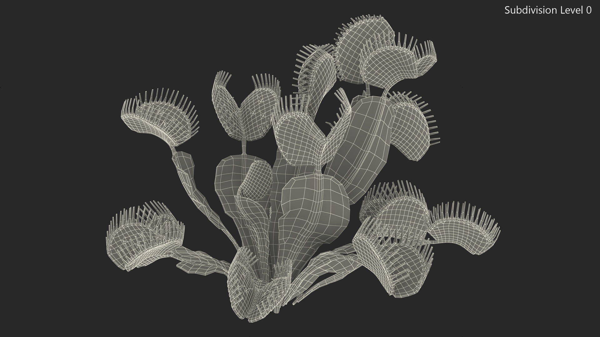 3D Venus Flytrap Phalanx