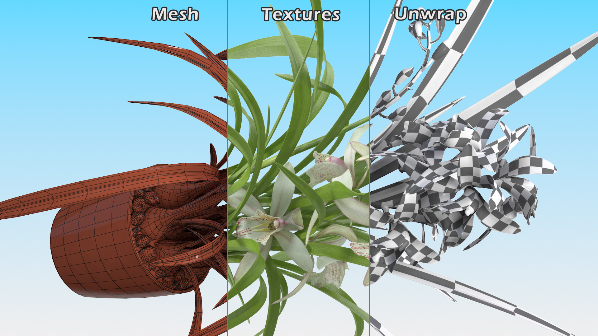 3D White Orchid Pot