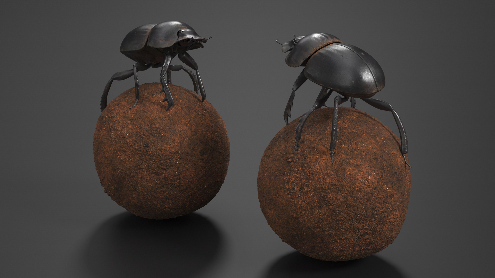 Scarabs on Sphere Dirt 3D
