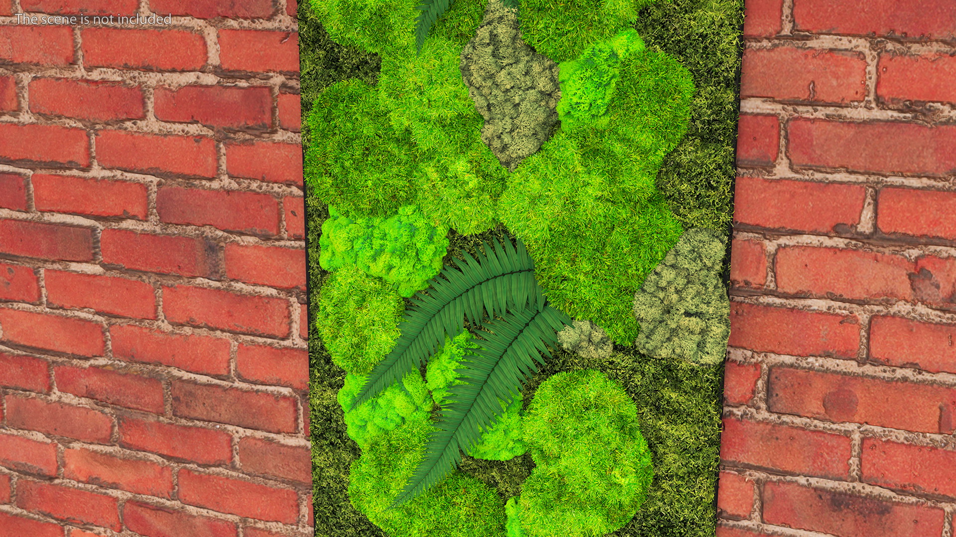 3D Natural Moss Wall with Preserved Plants Fur model