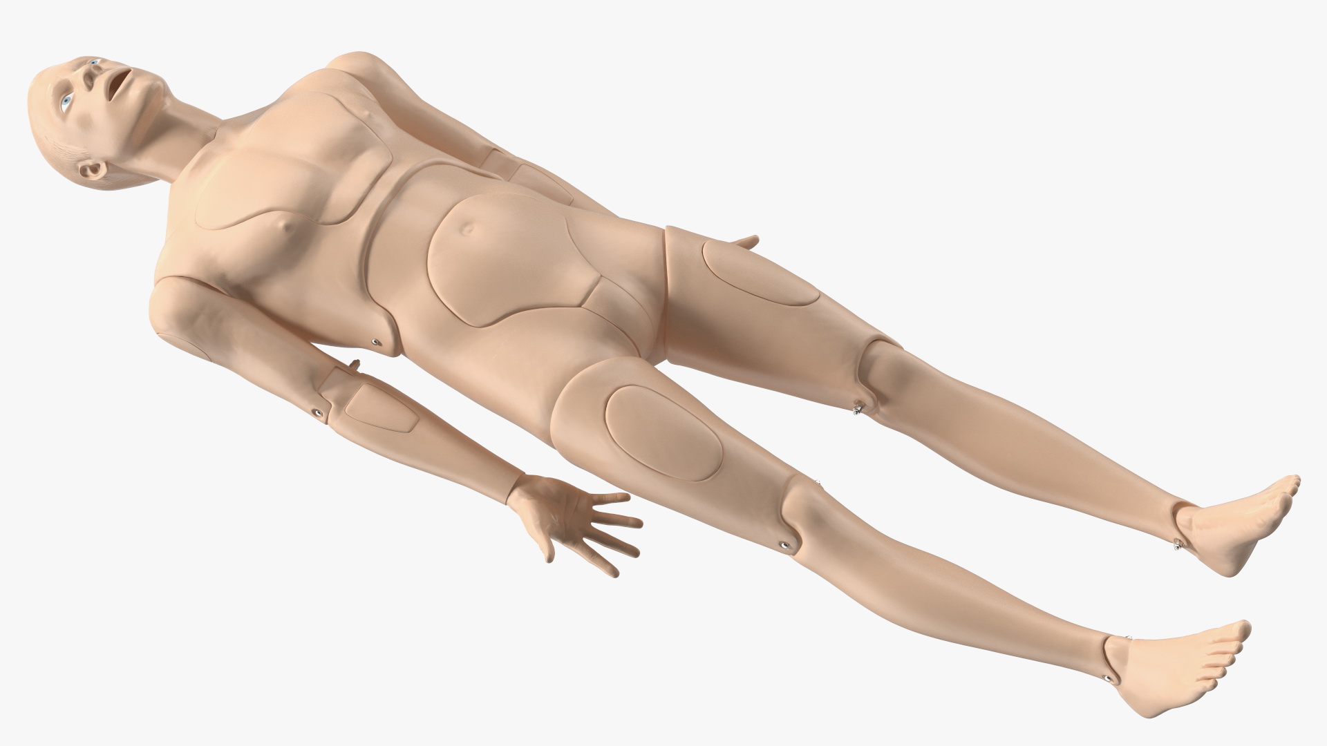 3D model Spinal Board Stretcher with Manikin