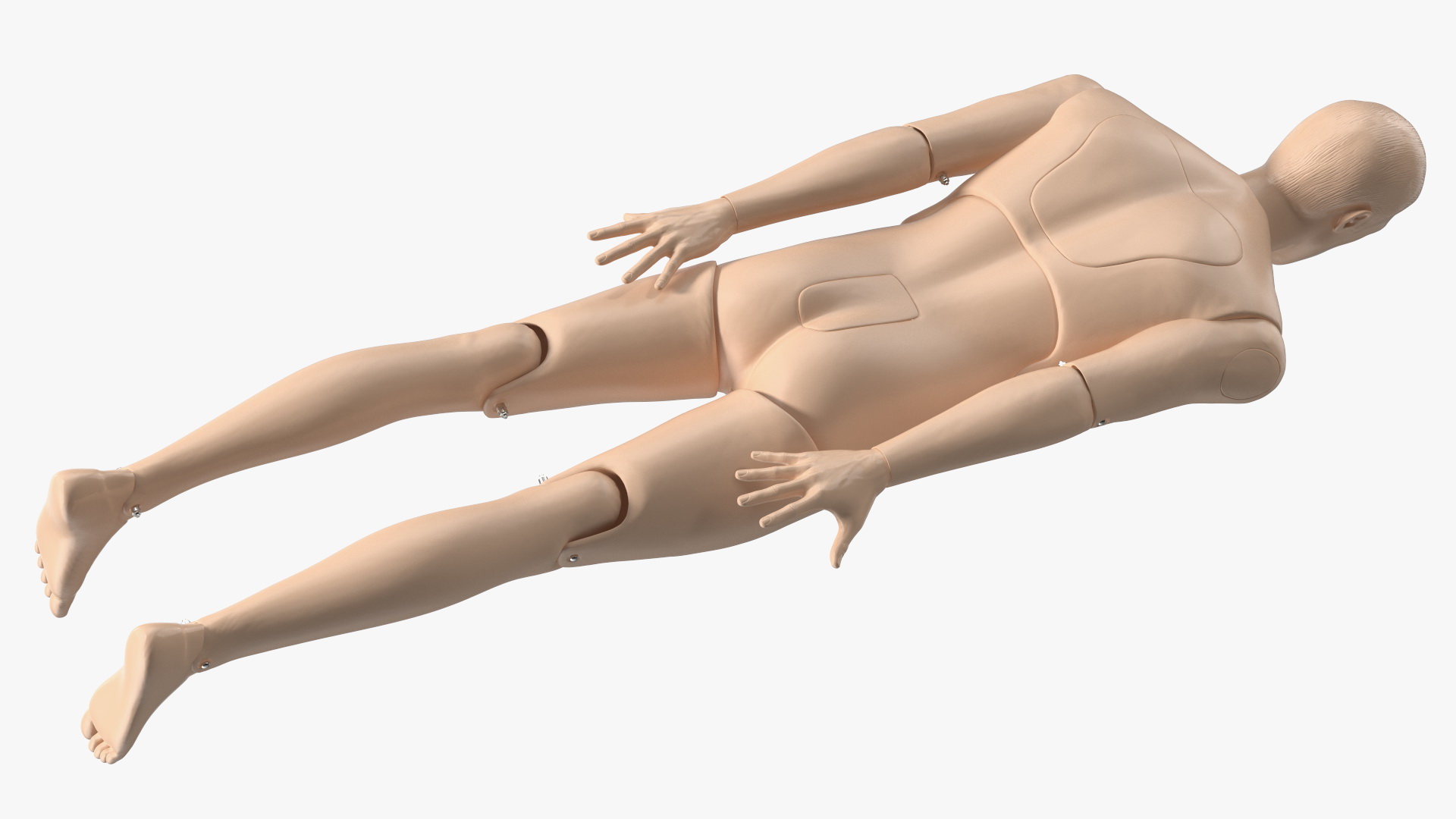 3D model Spinal Board Stretcher with Manikin