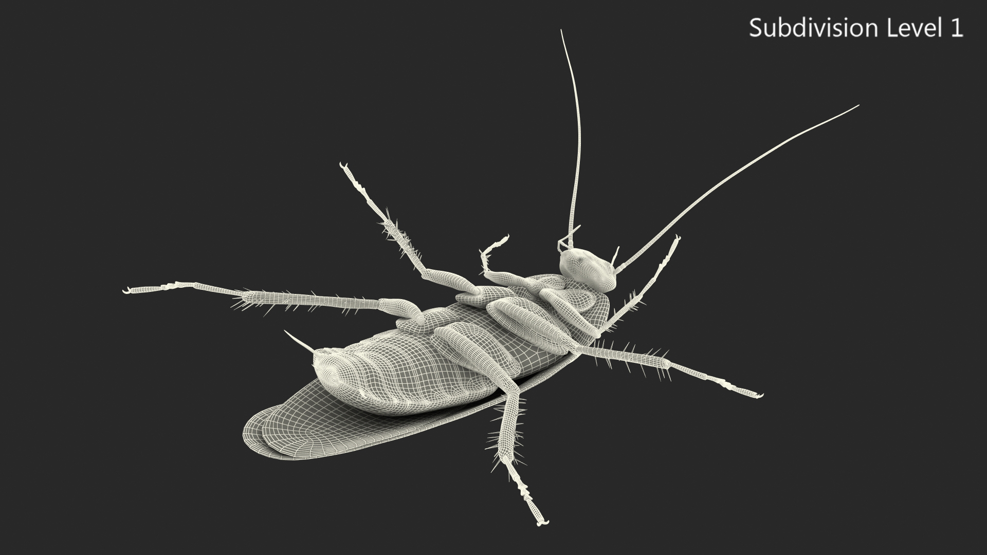 3D Animated Cockroach Upside Down Rigged for Cinema 4D