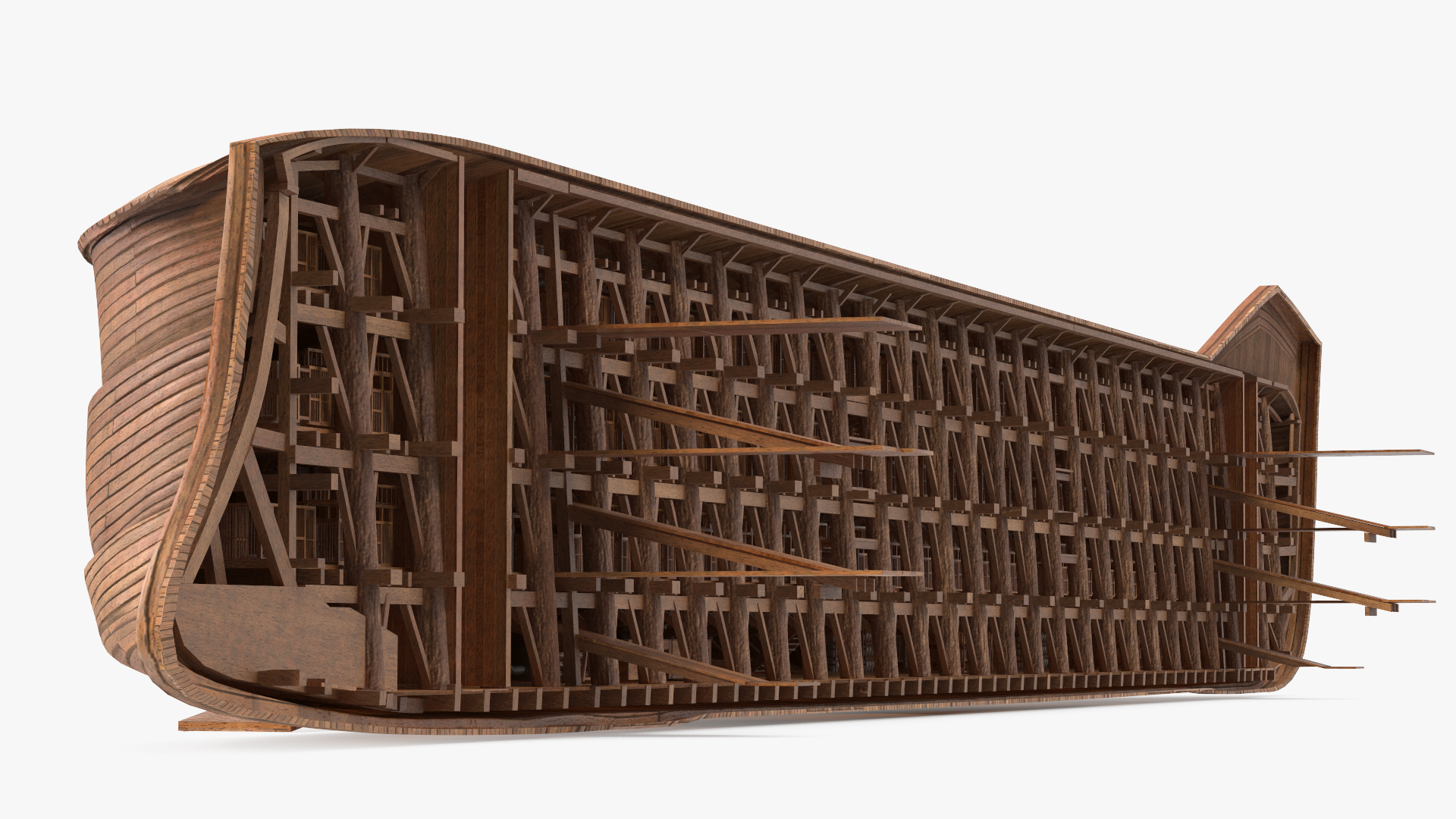 3D Noah Ark Cross Section Clear model