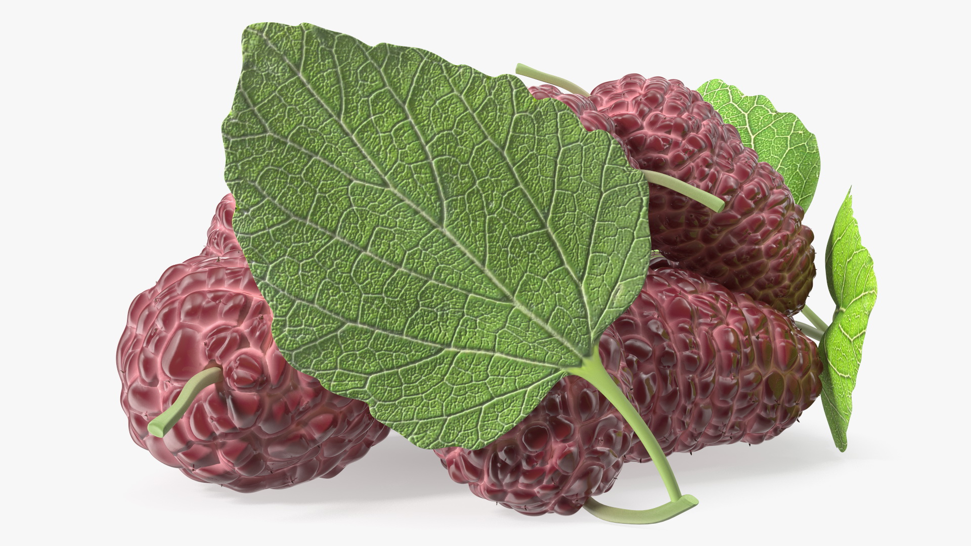 Pile of Mulberry Fruit Pink 3D