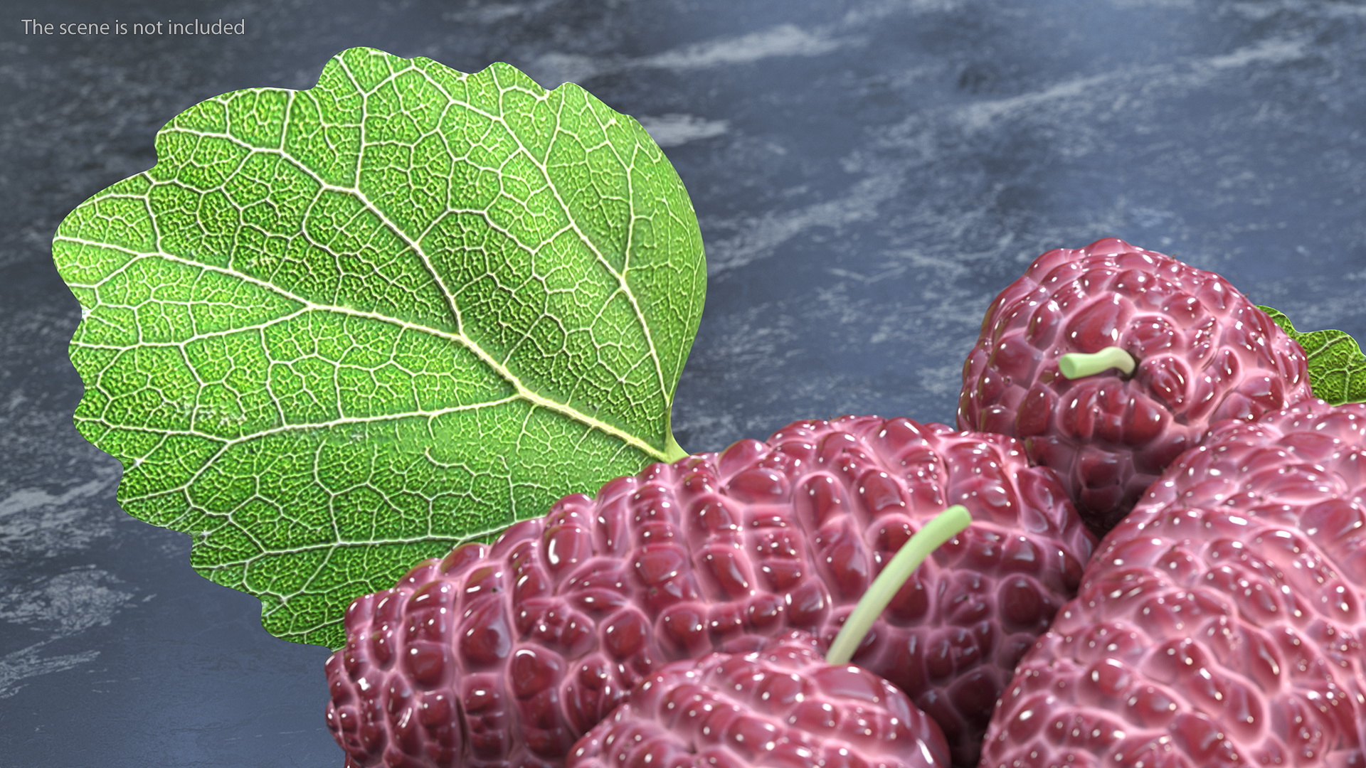 Pile of Mulberry Fruit Pink 3D