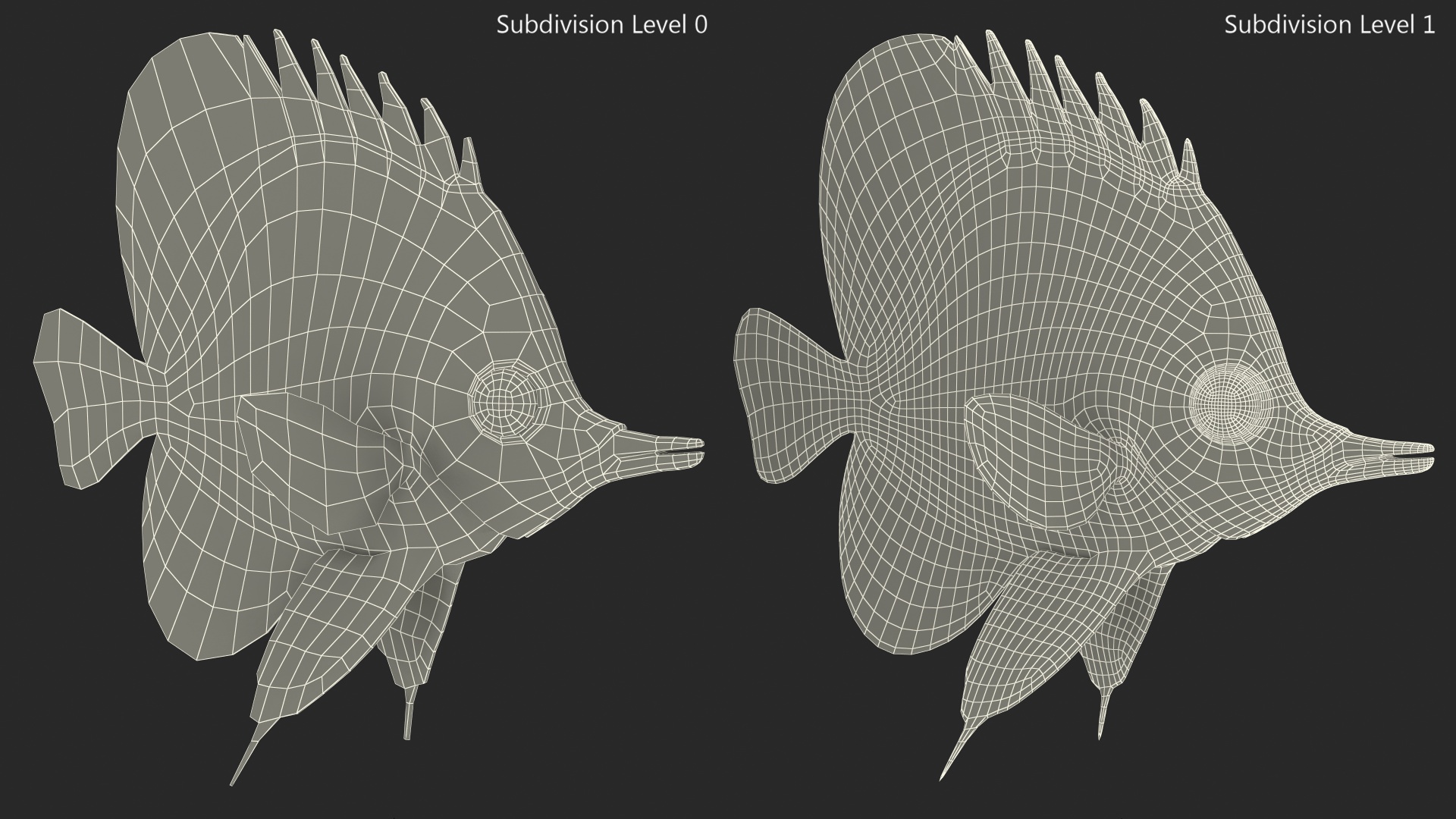 3D Copperband Butterflyfish Rigged