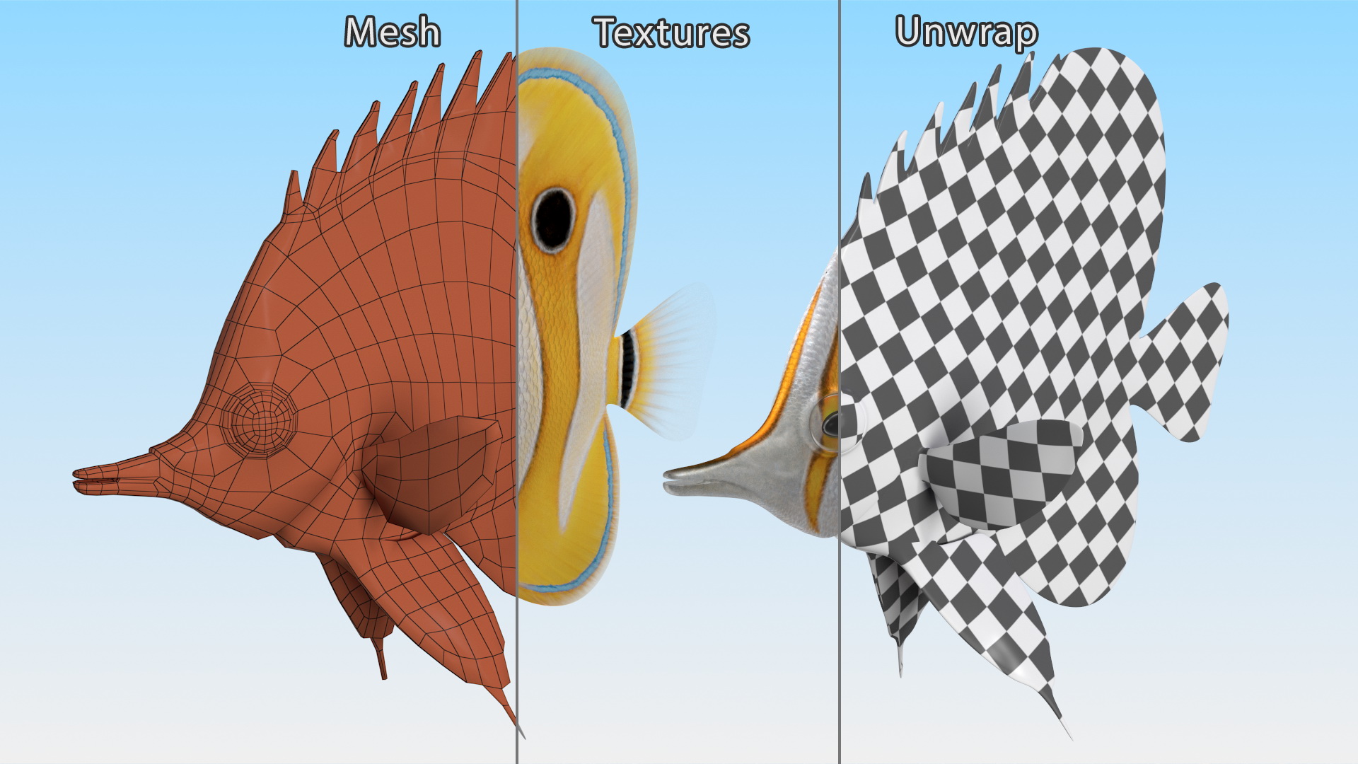 3D Copperband Butterflyfish Rigged