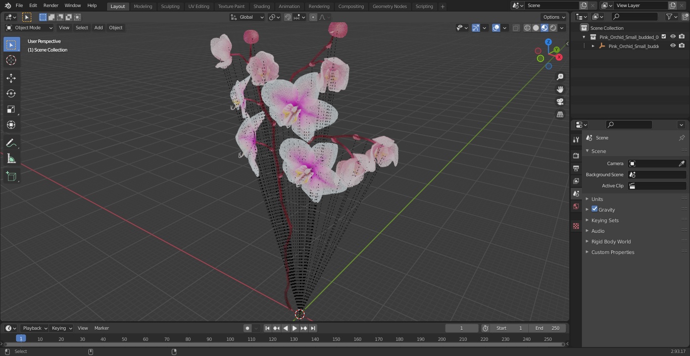 Pink Orchid Small budded 3D model