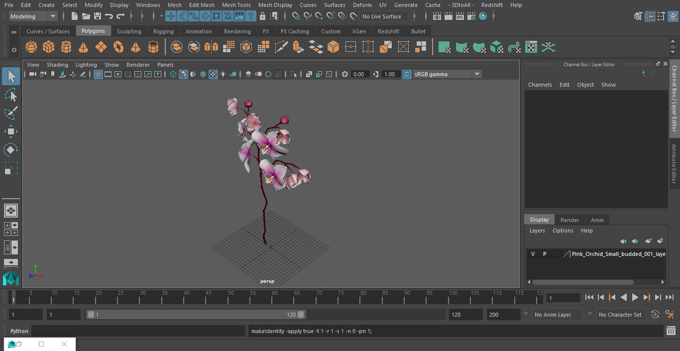 Pink Orchid Small budded 3D model