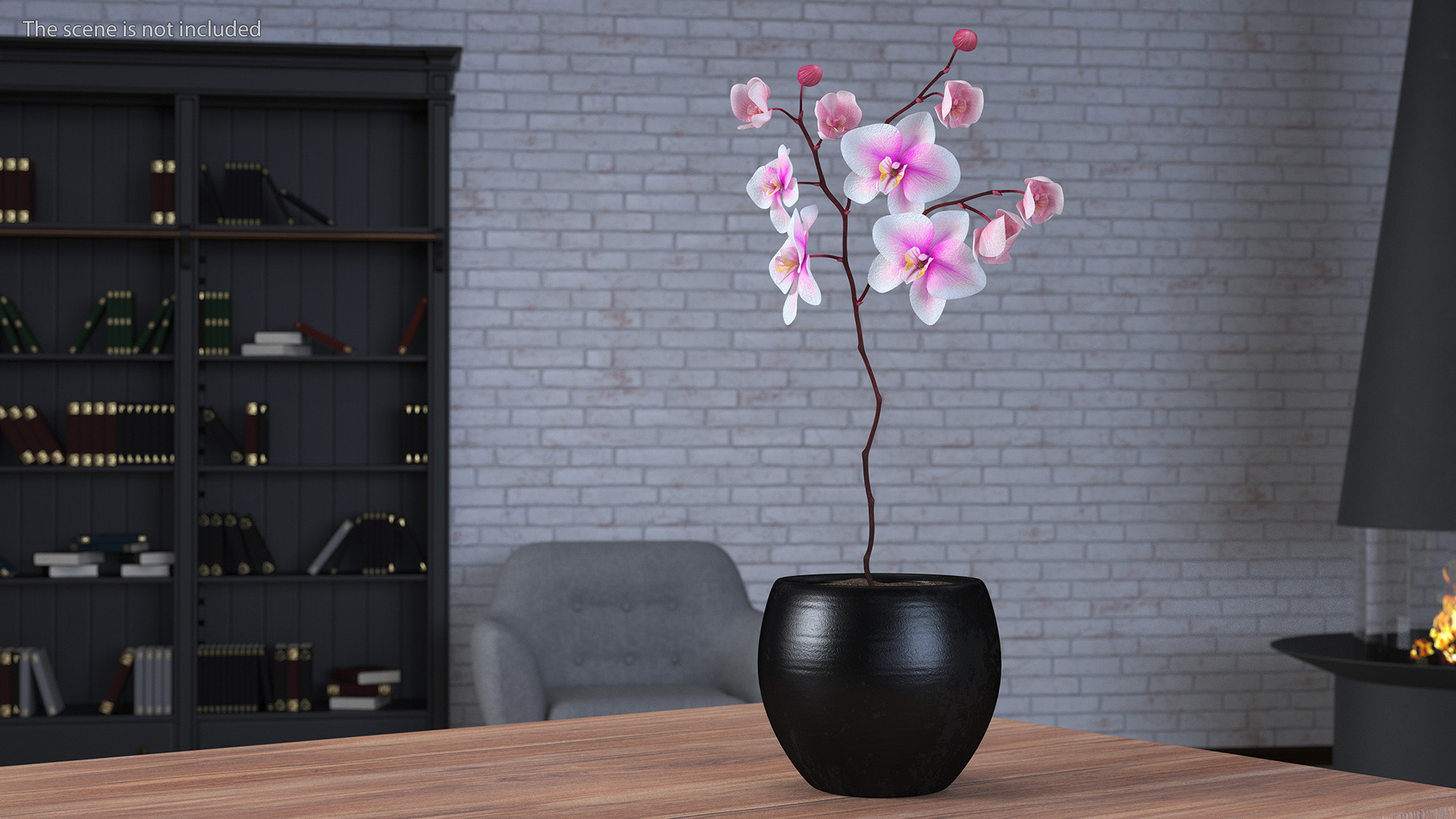 Pink Orchid Small budded 3D model
