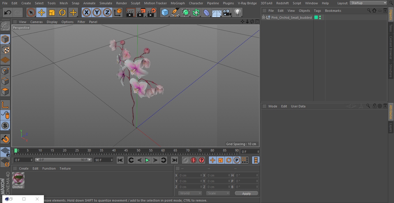 Pink Orchid Small budded 3D model