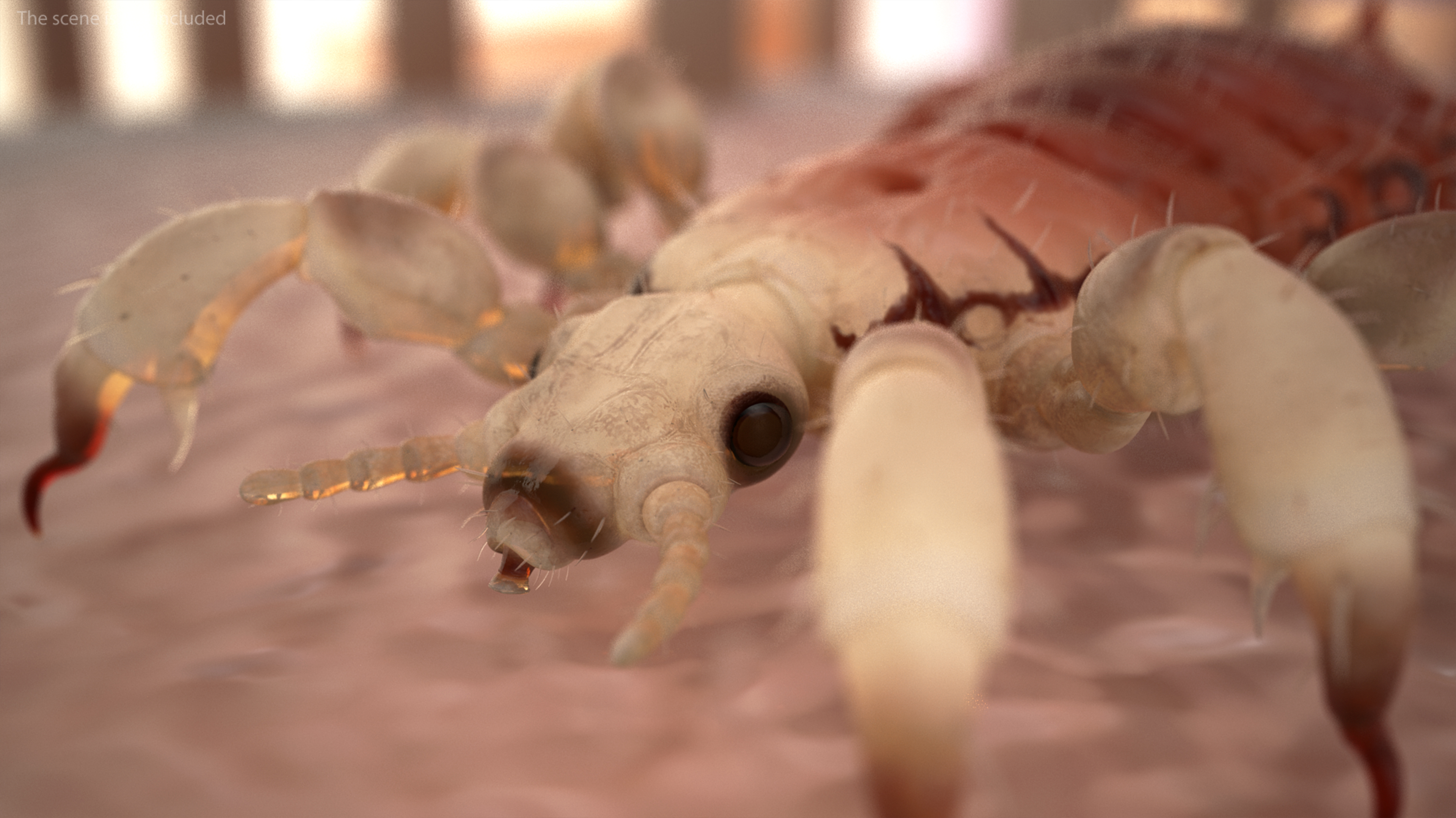 Parasitic Insect Louse with Blood SSS Rigged 3D model