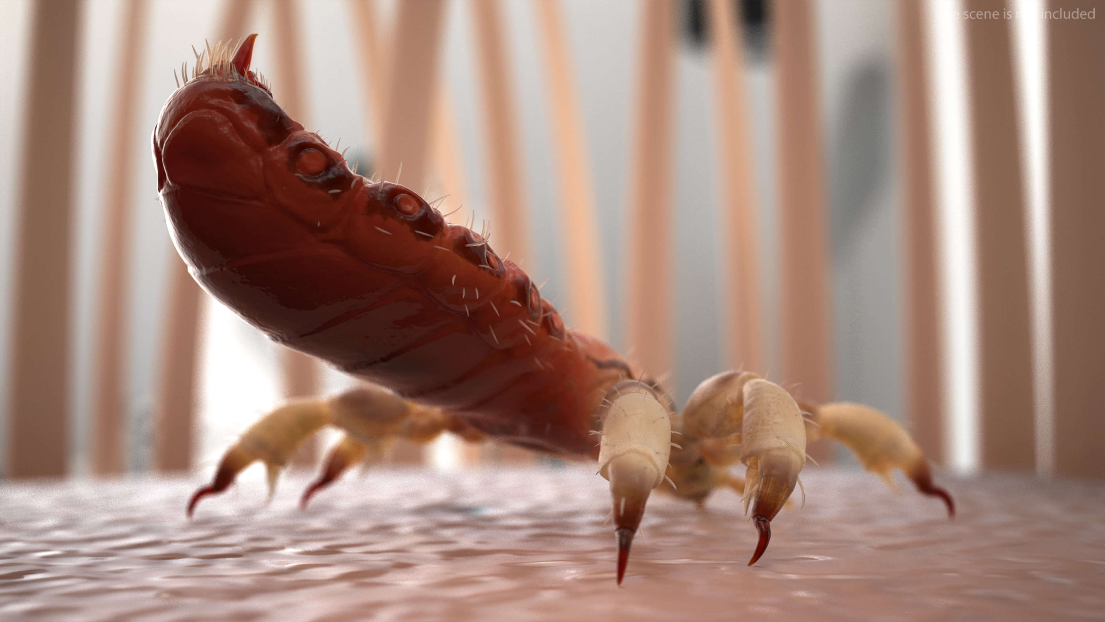 Parasitic Insect Louse with Blood SSS Rigged 3D model