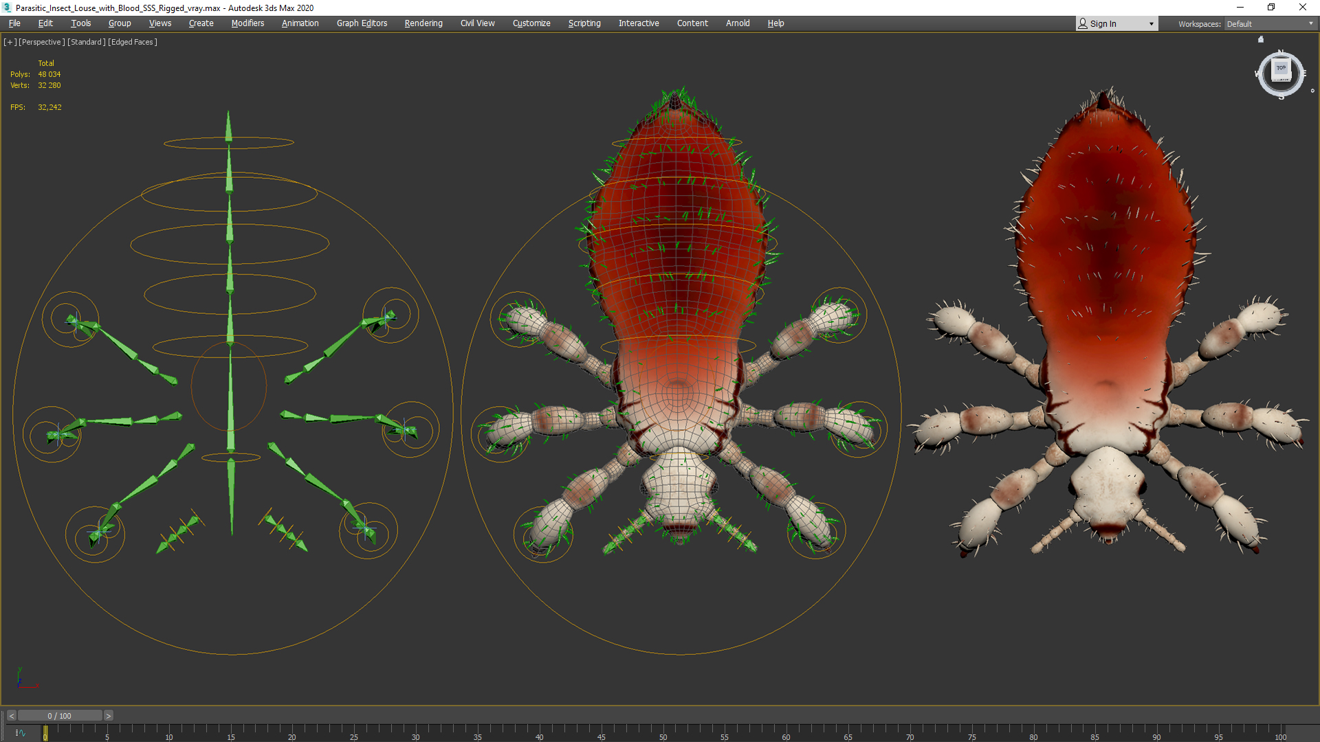 Parasitic Insect Louse with Blood SSS Rigged 3D model