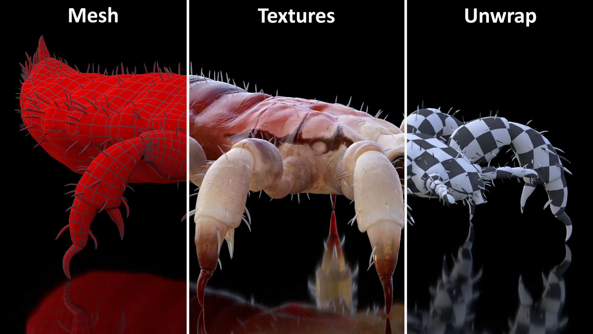 Parasitic Insect Louse with Blood SSS Rigged 3D model
