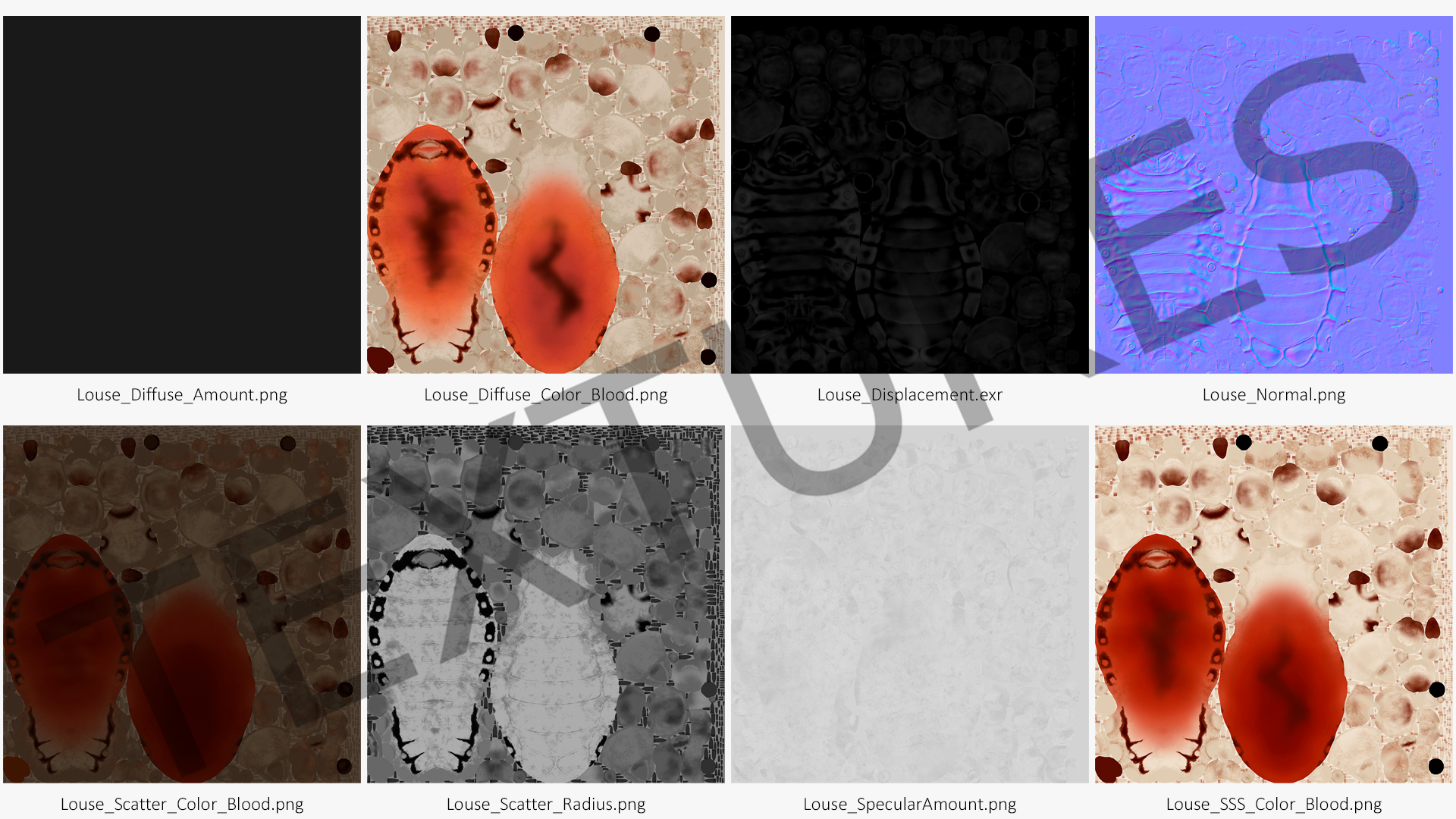 Parasitic Insect Louse with Blood SSS Rigged 3D model