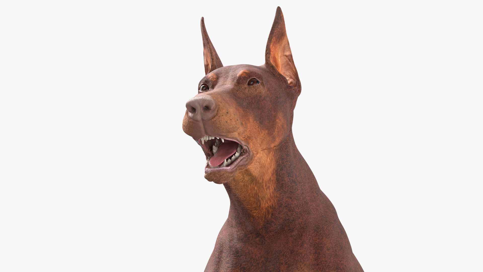 3D Doberman Dog Brown Running