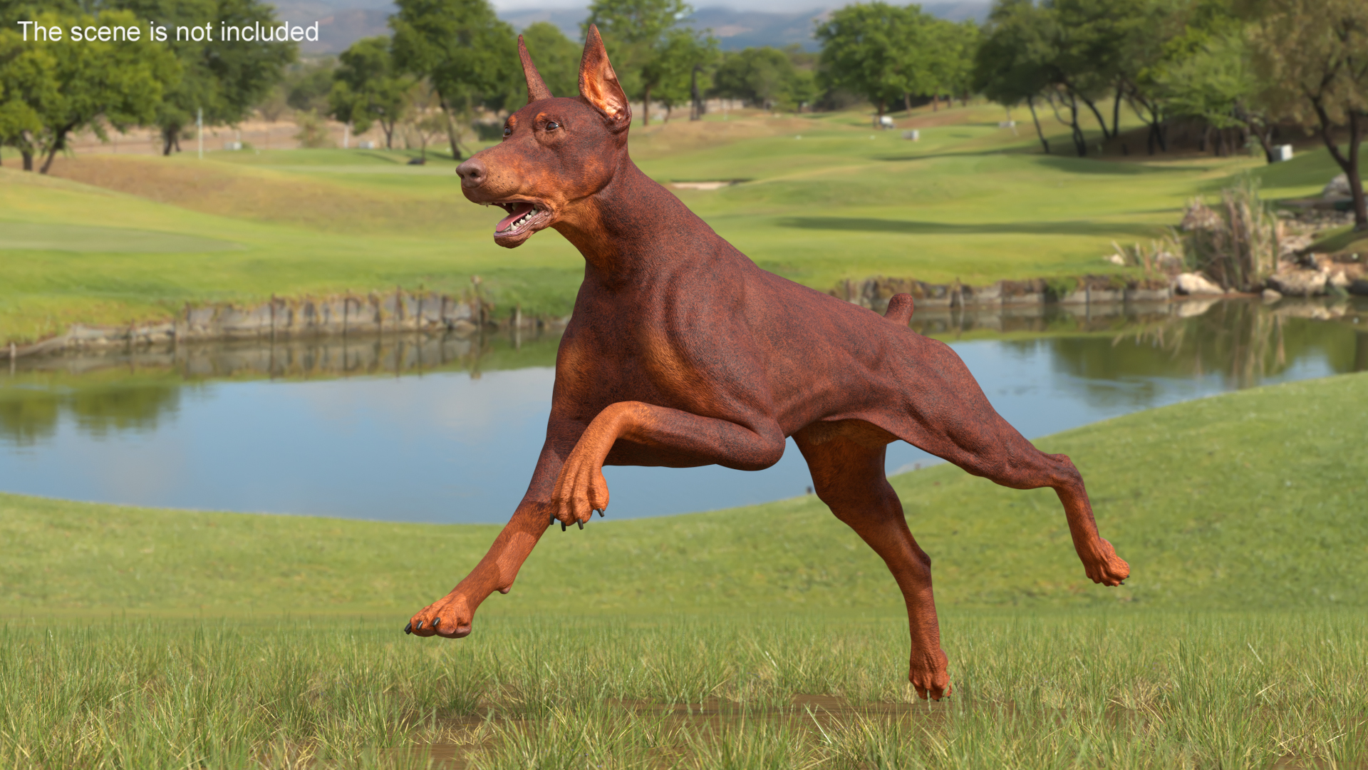 3D Doberman Dog Brown Running
