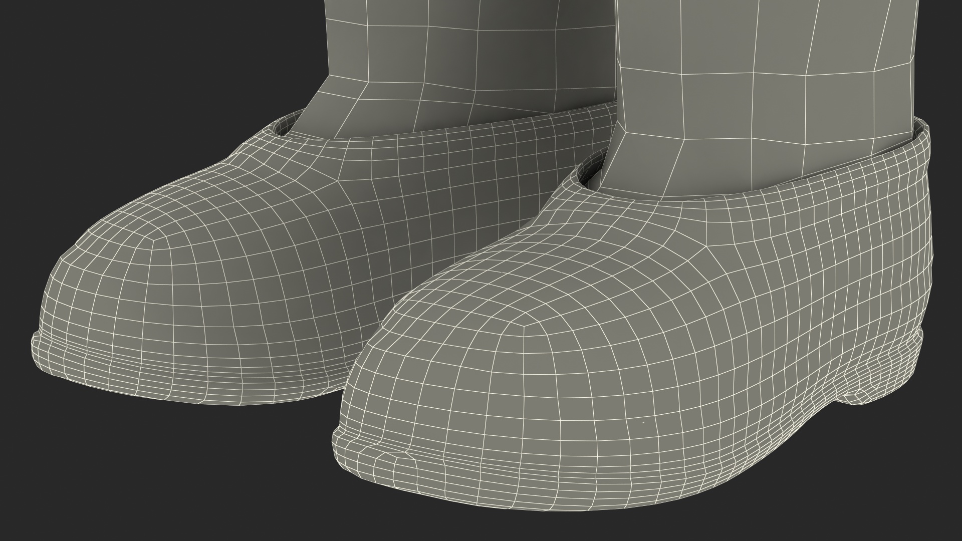 3D Traditional Felt Boots with Galoshes Black Fur