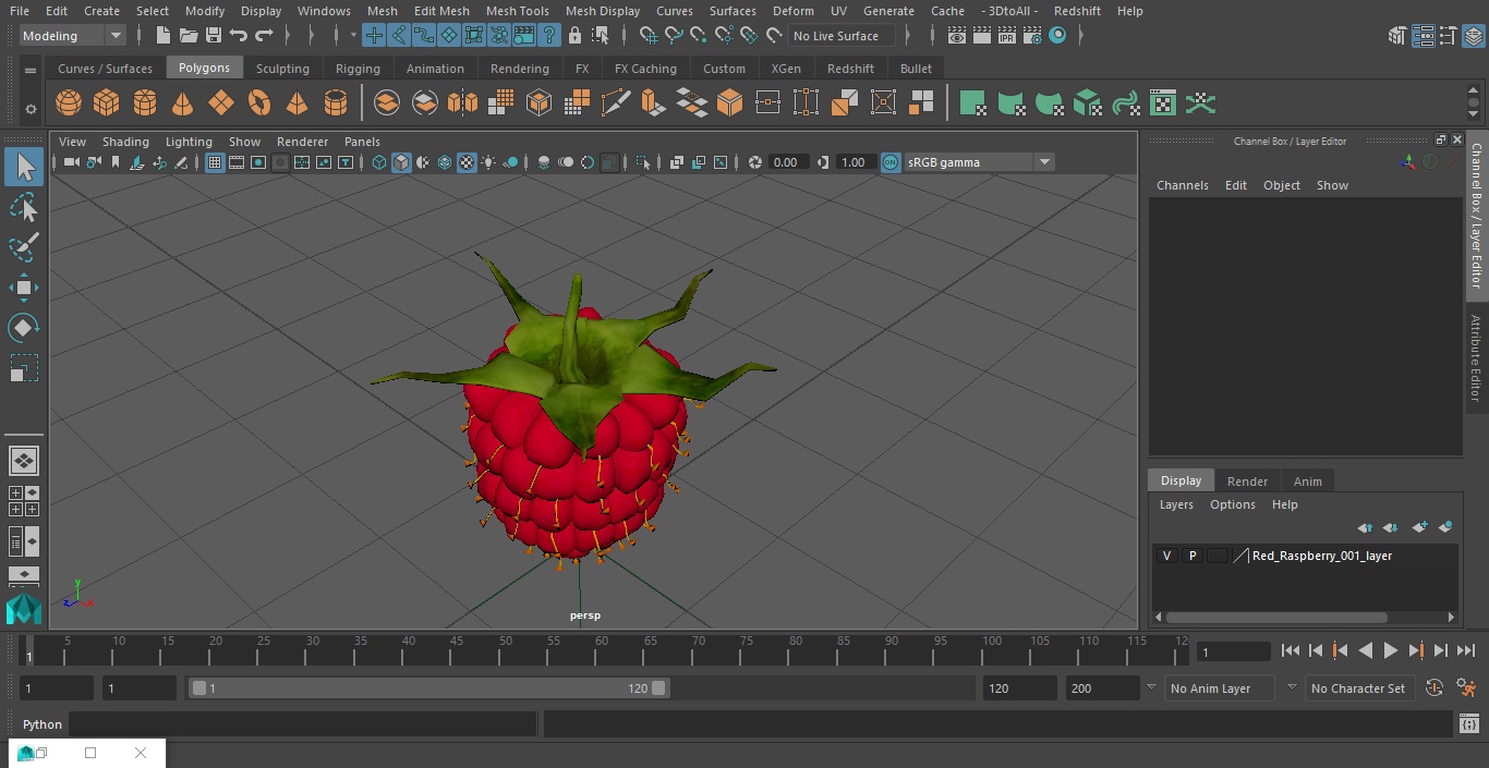 3D Red Raspberry model
