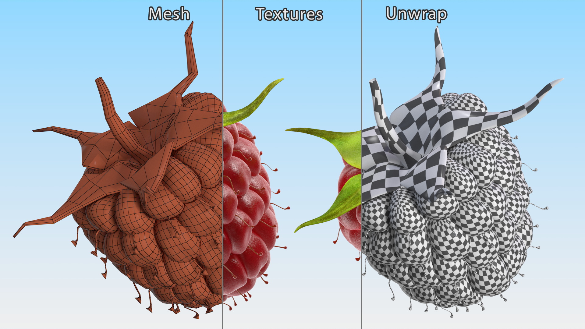 3D Red Raspberry model