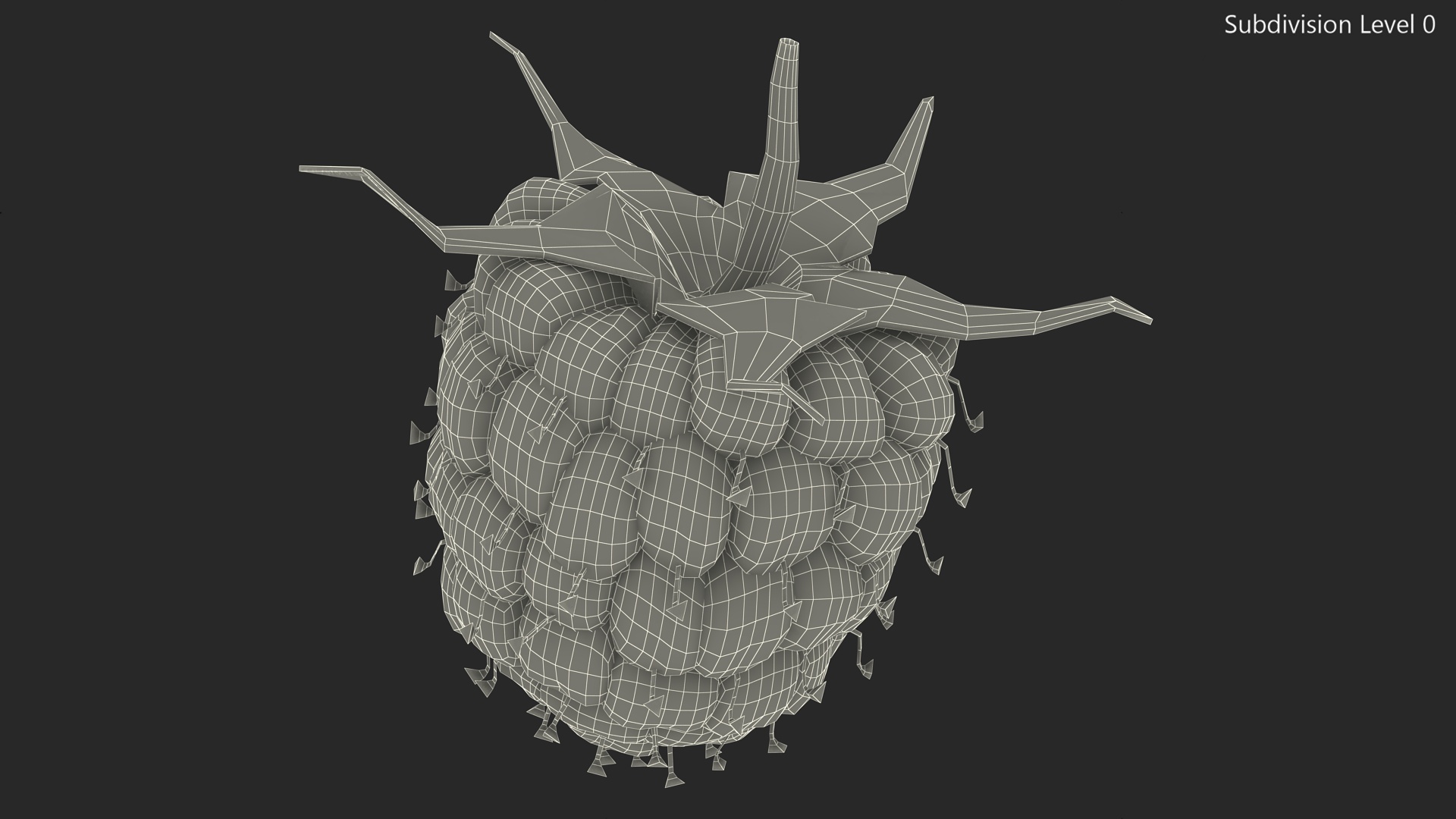 3D Red Raspberry model