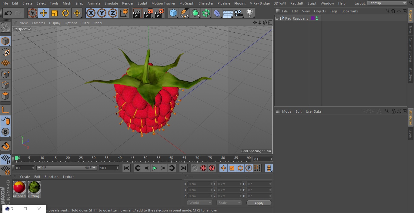 3D Red Raspberry model