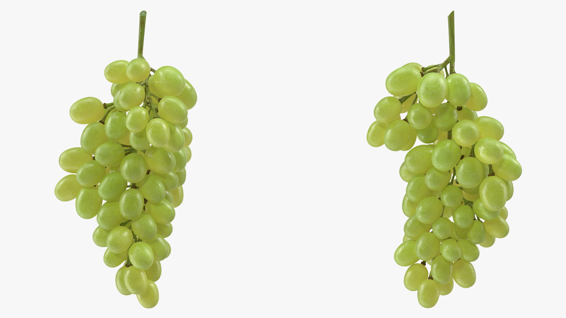 3D Cluster of Green Grapes model