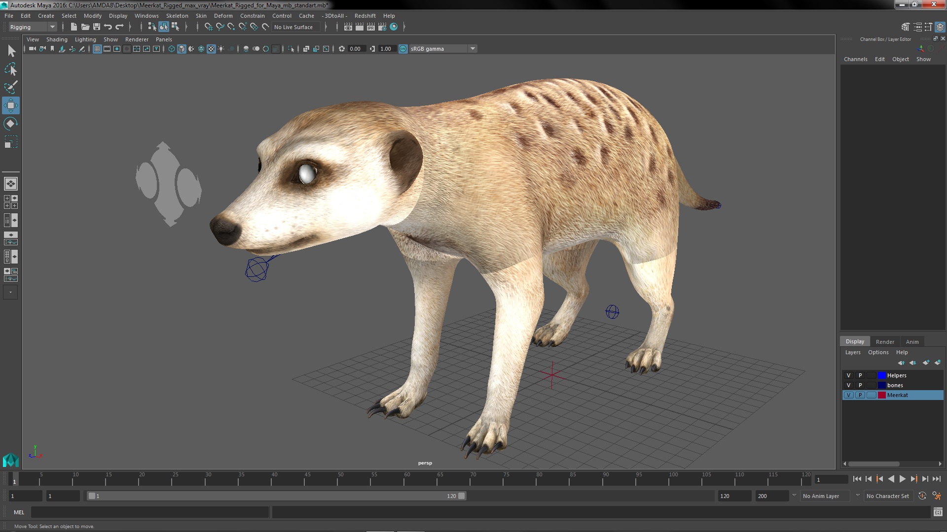 3D Meerkat Rigged for Maya model