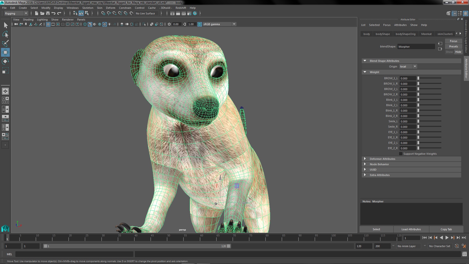3D Meerkat Rigged for Maya model