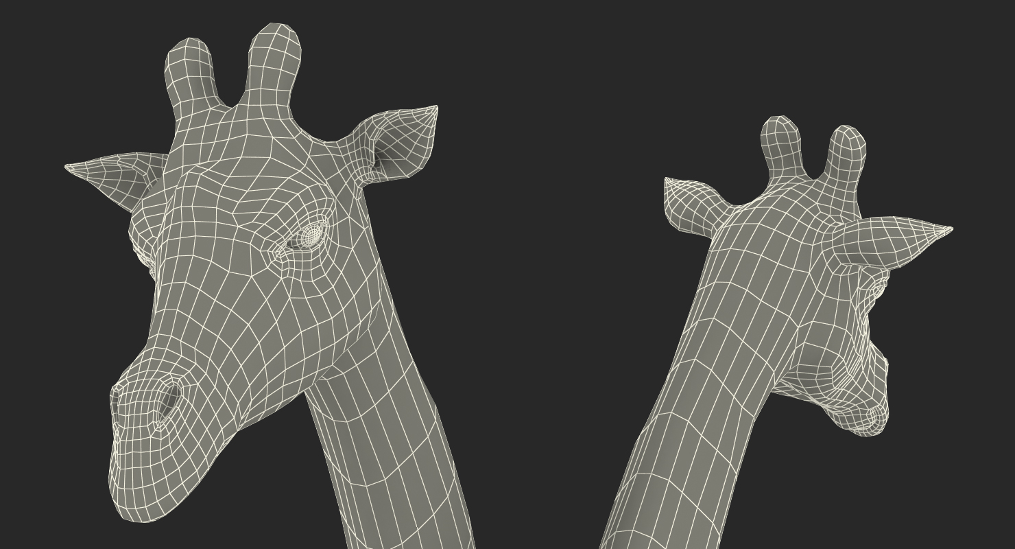 3D African Giraffe Walking Pose model