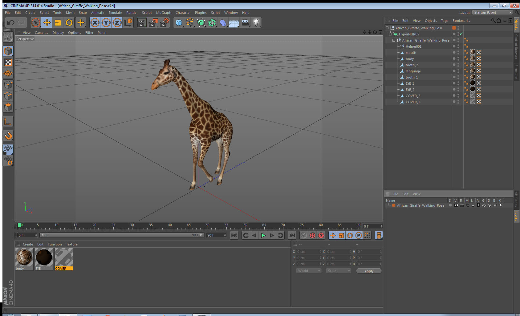 3D African Giraffe Walking Pose model