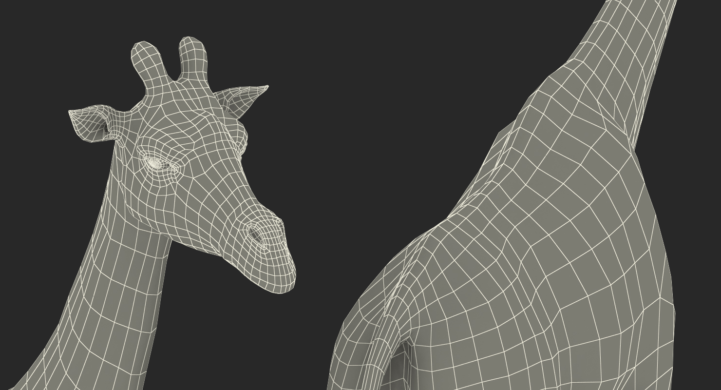 3D African Giraffe Walking Pose model