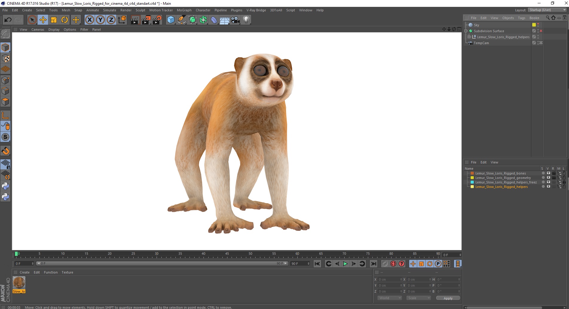 Lemur Slow Loris Rigged for Cinema 4D 3D