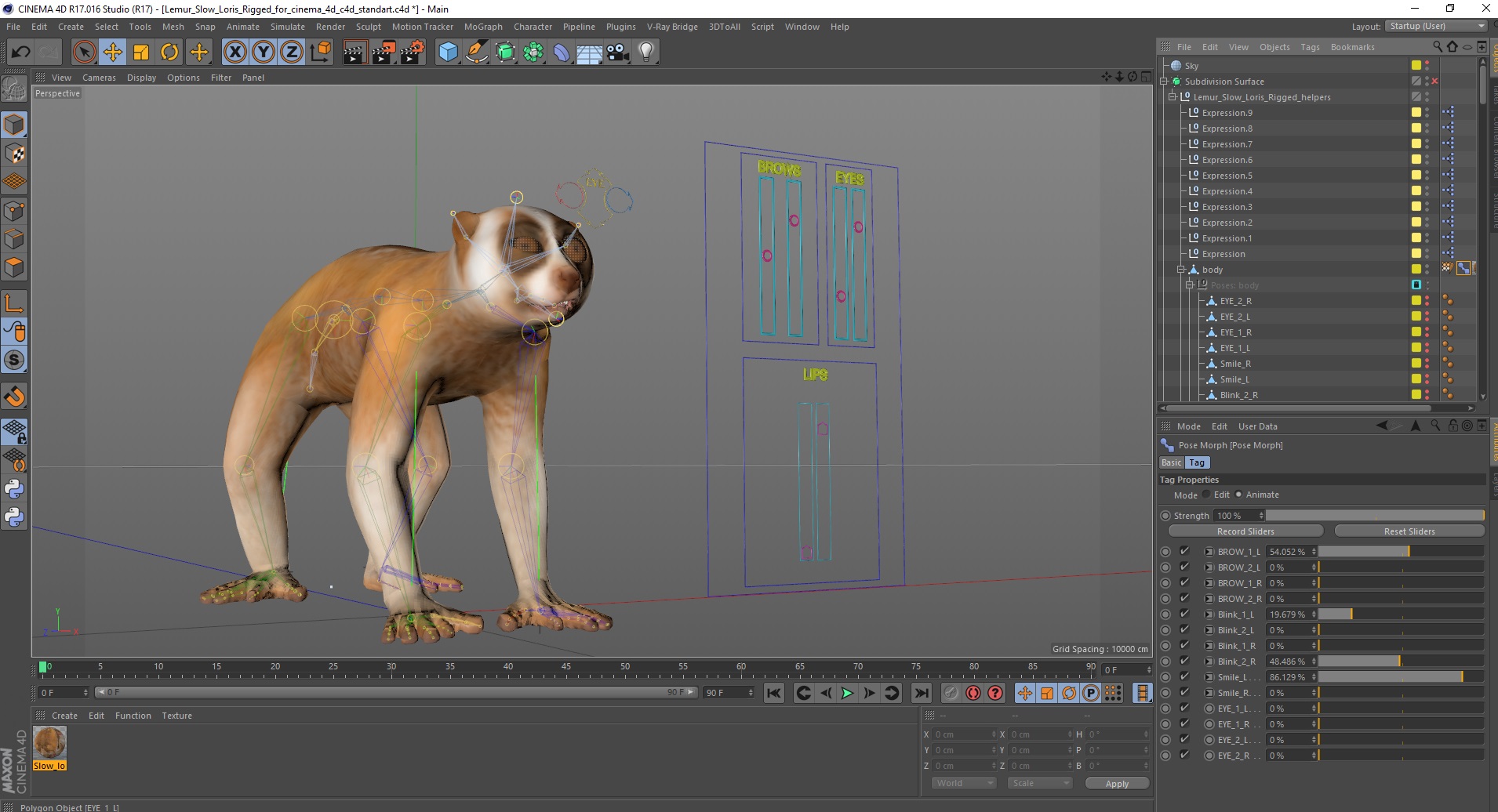 Lemur Slow Loris Rigged for Cinema 4D 3D