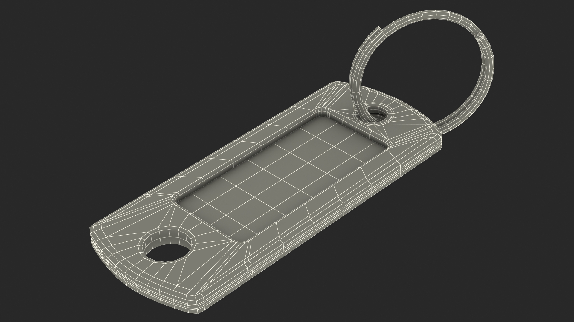Colored Plastic Key Tag with Split Ring 3D model