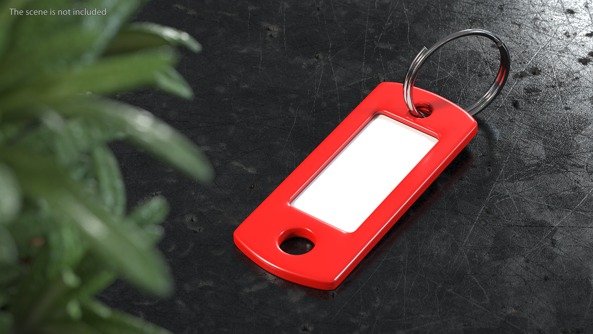 Colored Plastic Key Tag with Split Ring 3D model