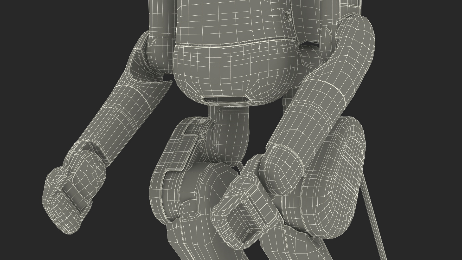 3D Digit Robot