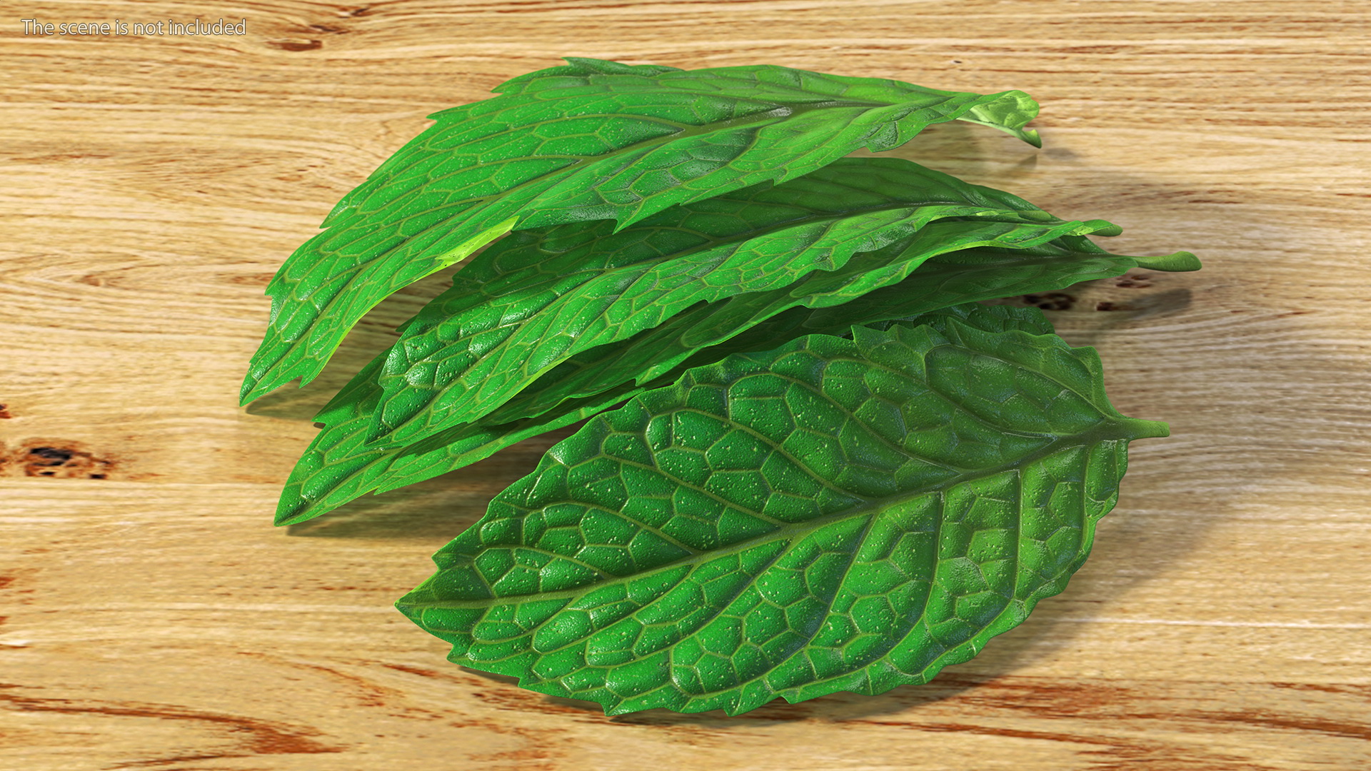 3D Bunch of Fresh Mint Leaves