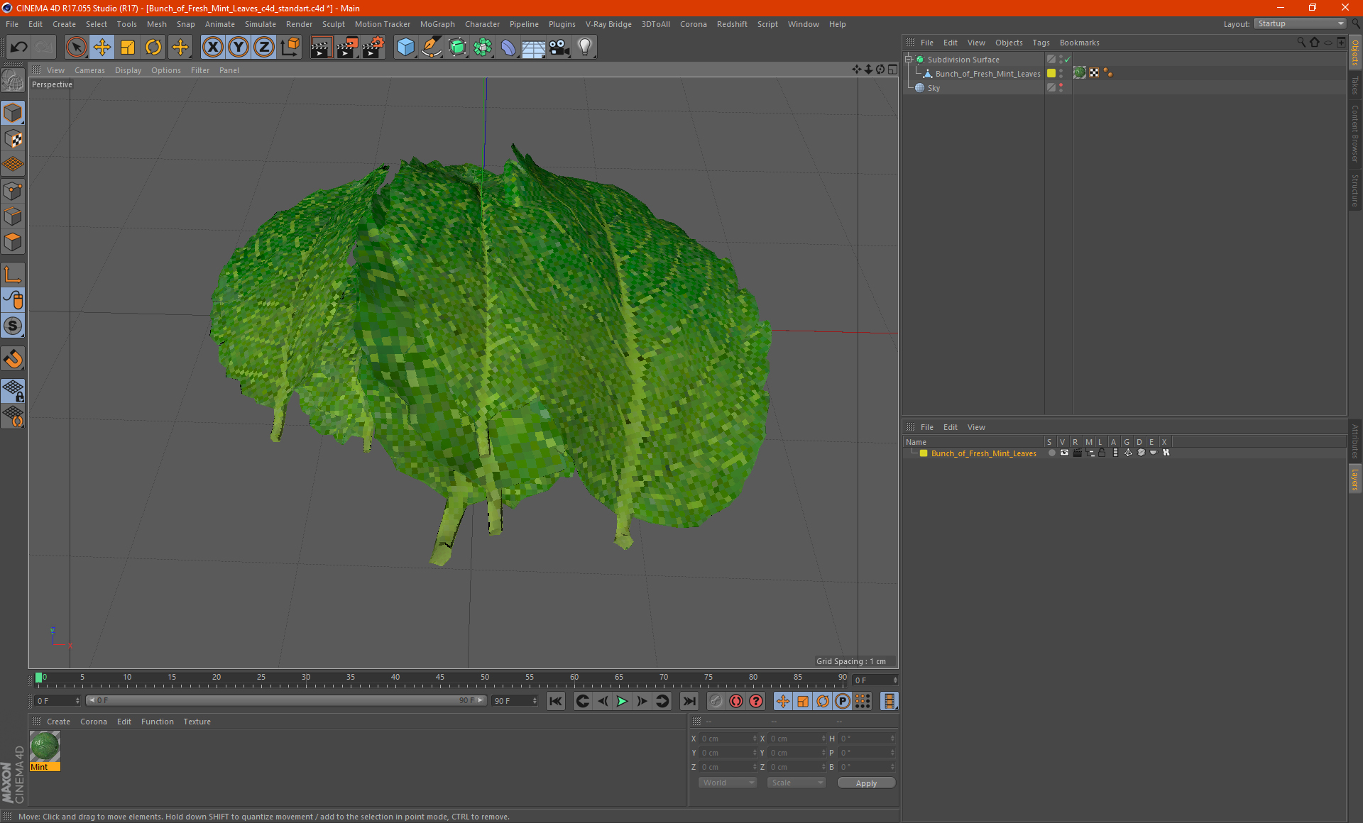 3D Bunch of Fresh Mint Leaves