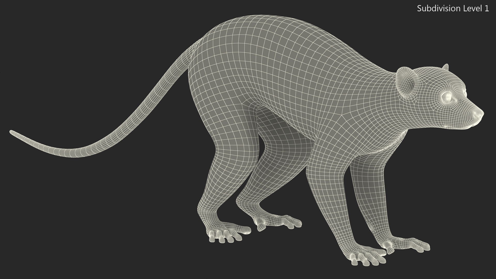 3D Lemur Rigged for Maya