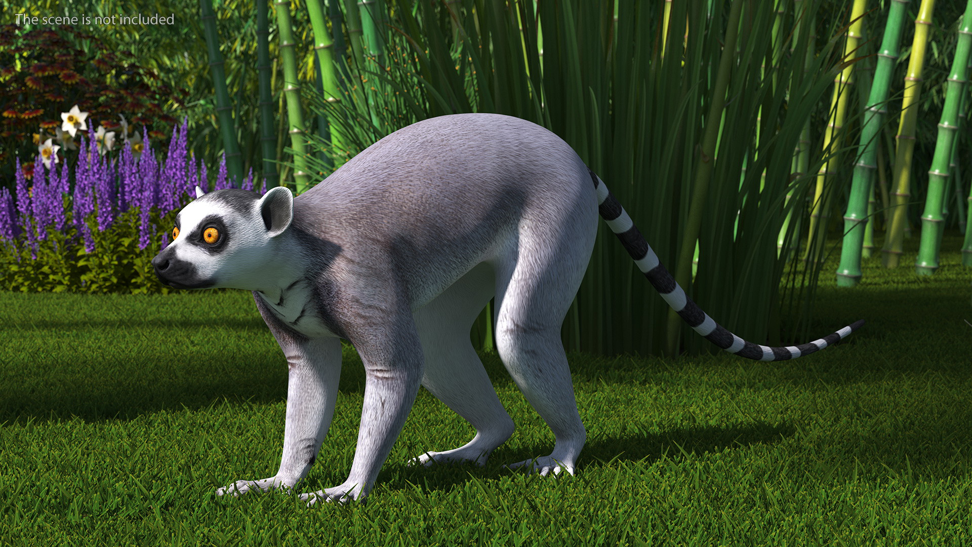 3D Lemur Rigged for Maya