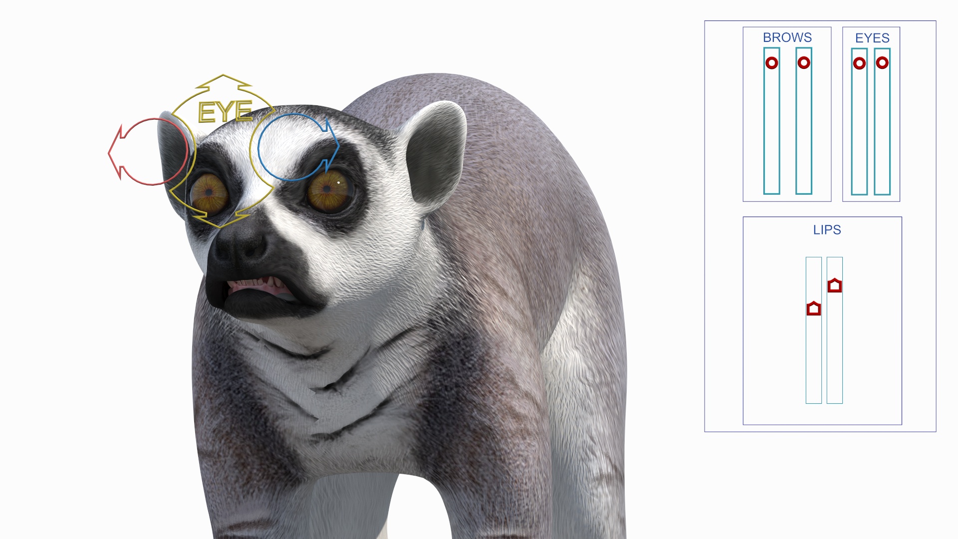 3D Lemur Rigged for Maya