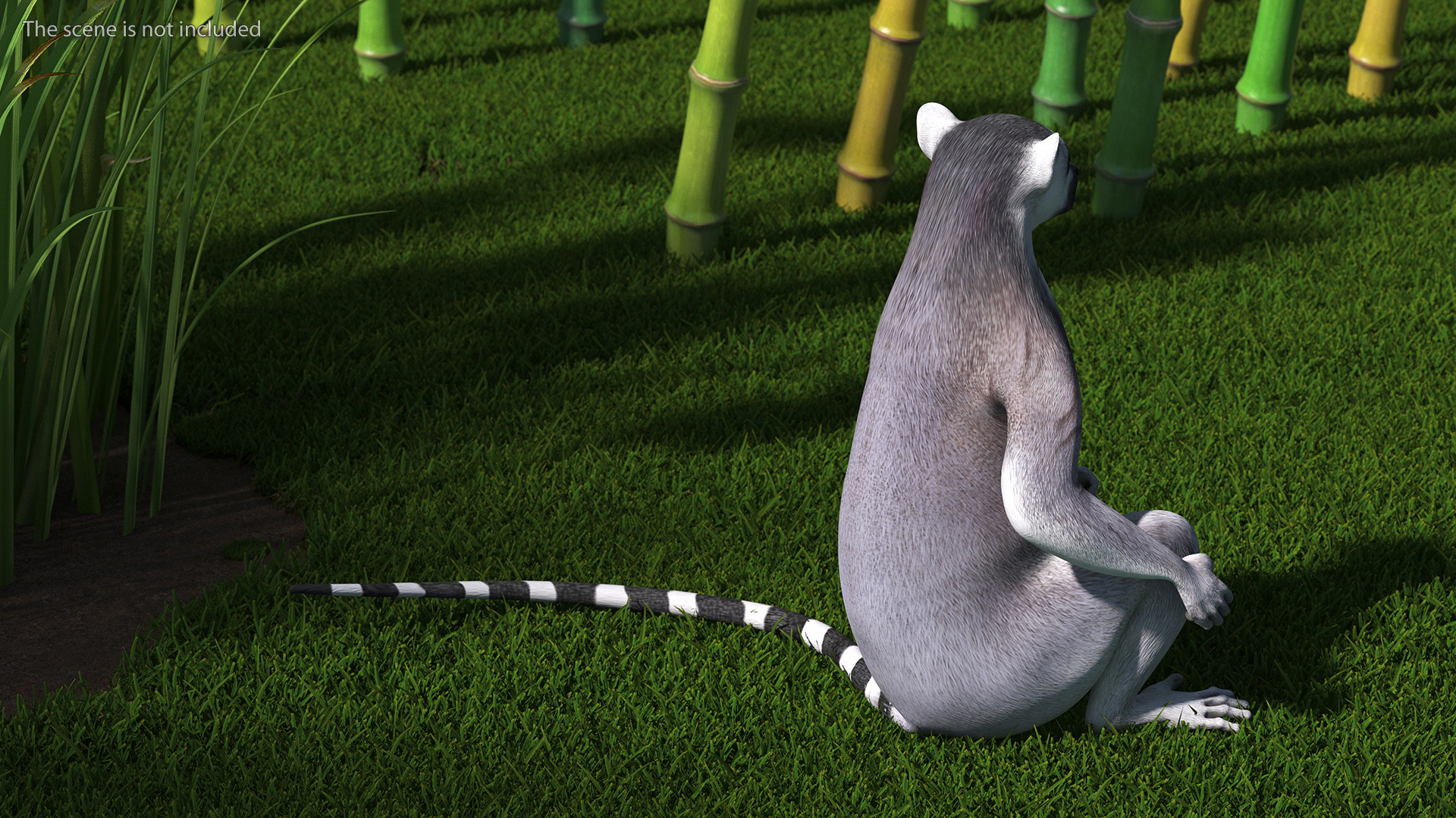 3D Lemur Rigged for Maya