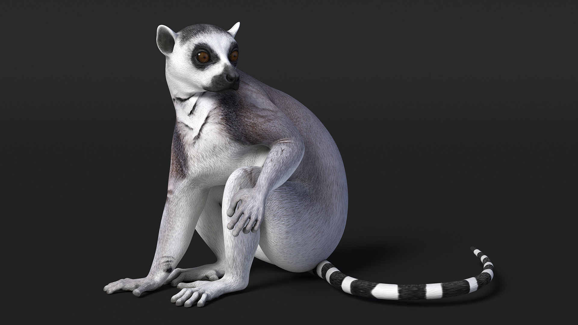 3D Lemur Rigged for Maya