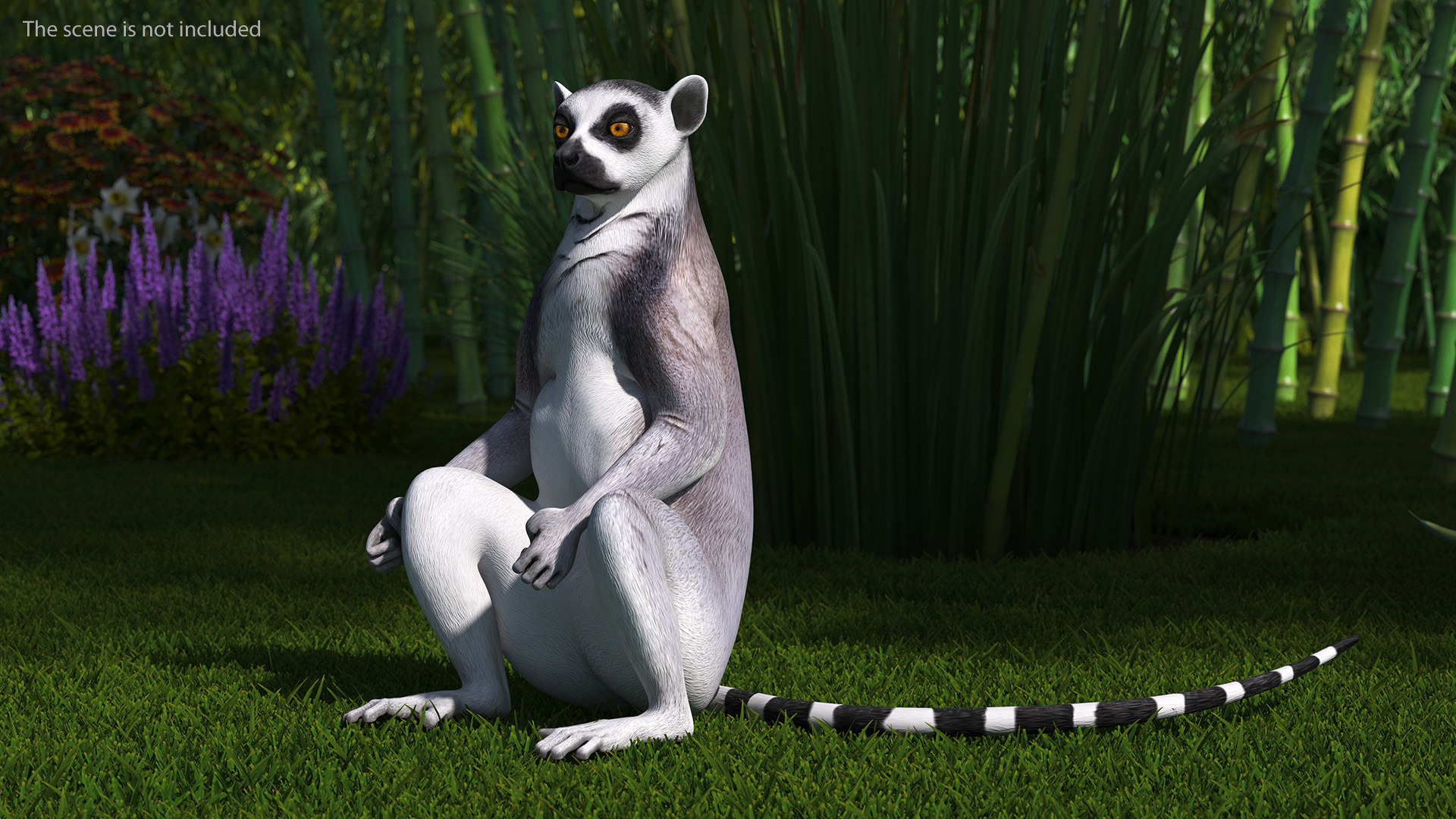 3D Lemur Rigged for Maya