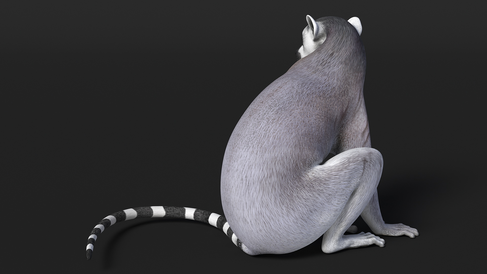 3D Lemur Rigged for Maya